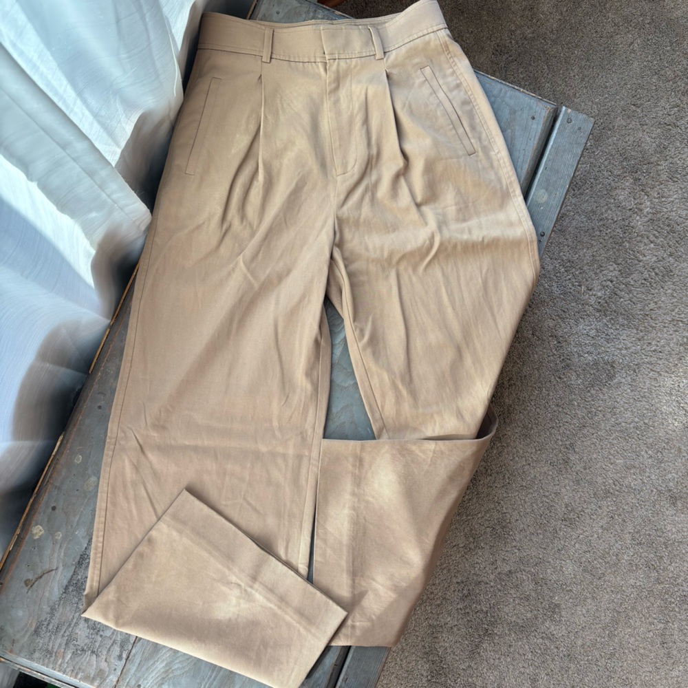 Everlane Way High Drape pleated pants | size 2S